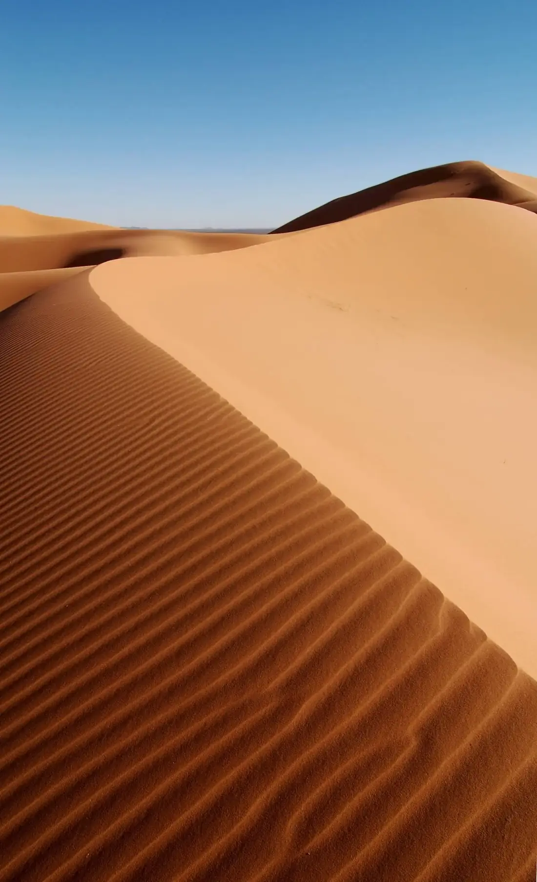 The dunes of Erg Chebbi near Merzouga
