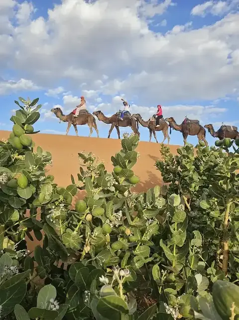 A moment from a Beyond the Riad journey through Morocco
