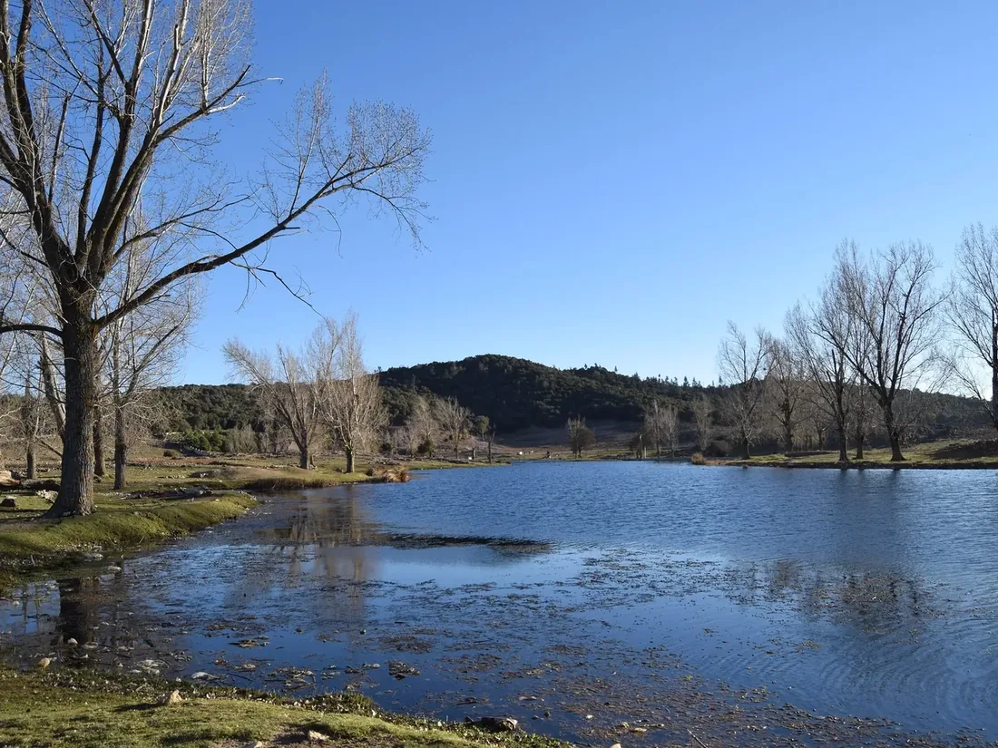 Middle Atlas, Ifrane & Azrou Day Trip from Fes